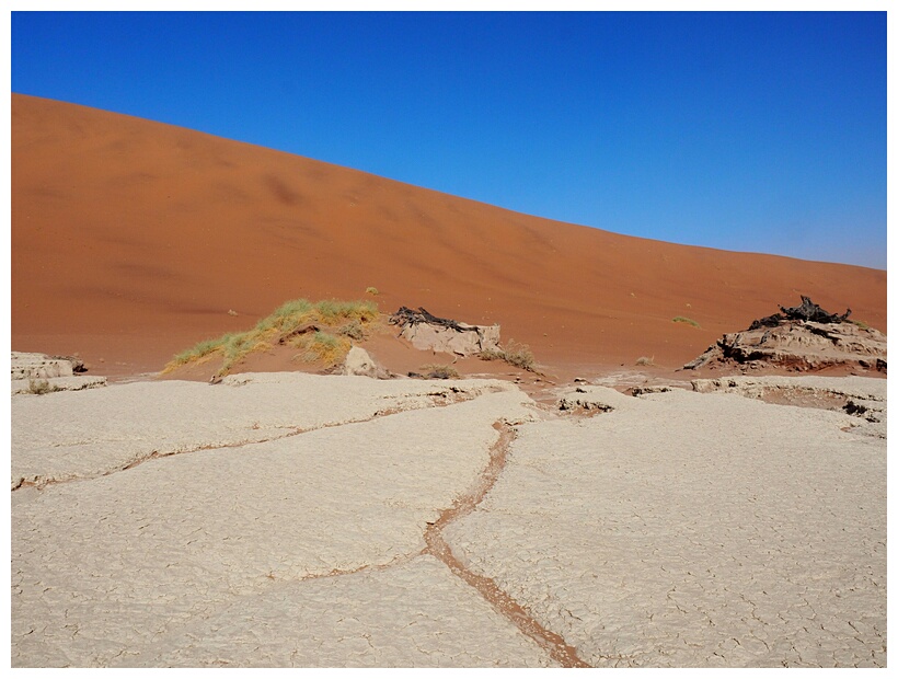 Deadvlei