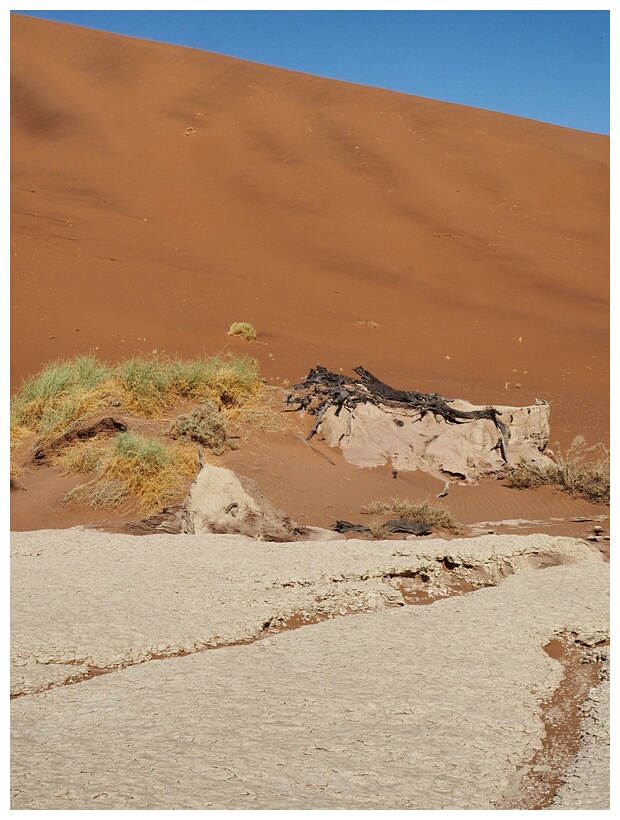 Deadvlei