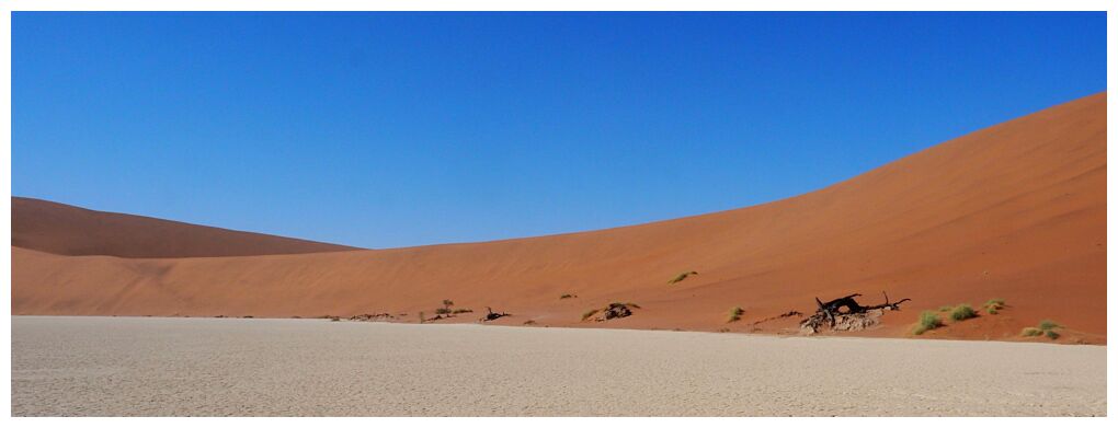 Deadvlei