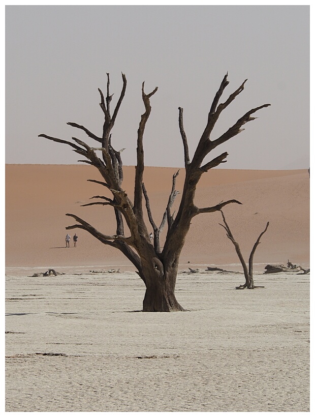 Deadvlei