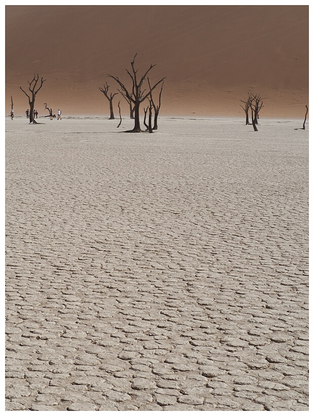 Deadvlei