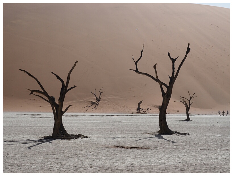 Deadvlei