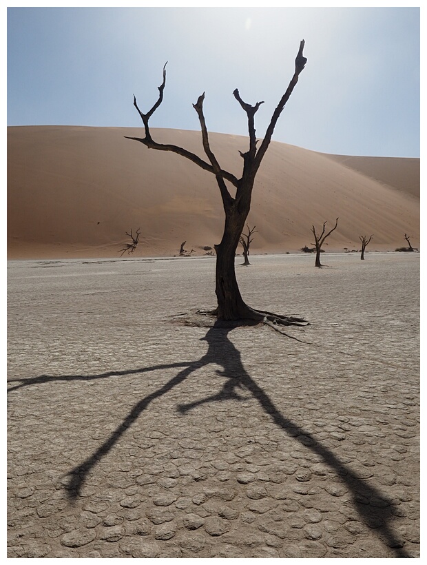 Deadvlei