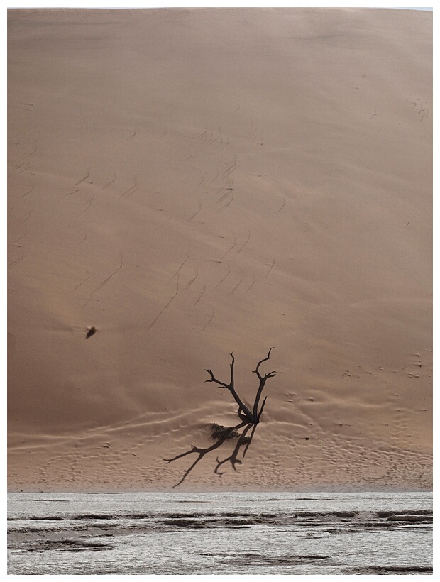 Deadvlei