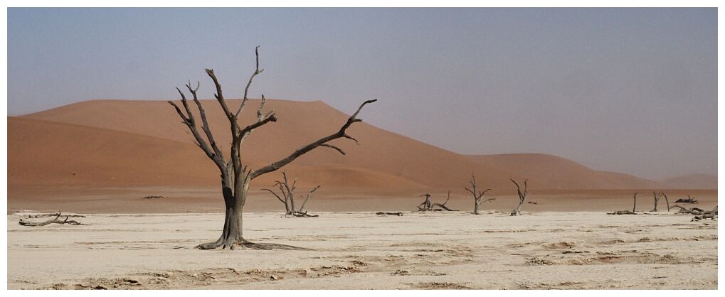 Deadvlei