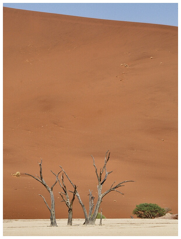 Deadvlei