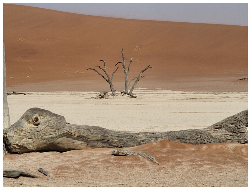 Deadvlei