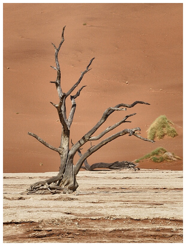 Deadvlei