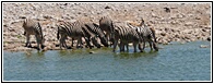 Etosha National Park