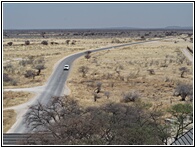 Etosha National Park