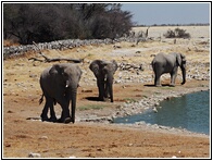 Etosha National Park