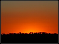 Etosha National Park