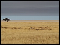 Etosha National Park