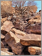 Twyfelfontein 