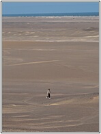 Skeleton Coast