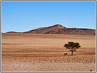 Namib Desert