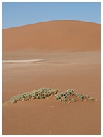 Deadvlei