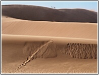 Deadvlei