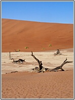 Deadvlei