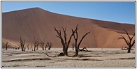 Deadvlei