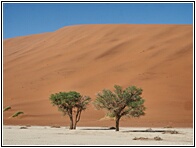 Deadvlei