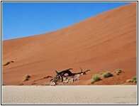 Deadvlei