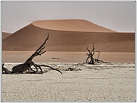 Deadvlei