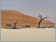 Deadvlei