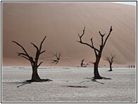 Deadvlei