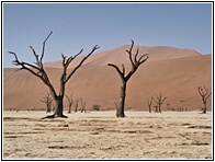 Deadvlei