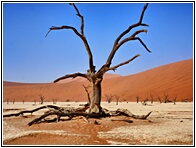 Deadvlei