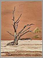 Deadvlei