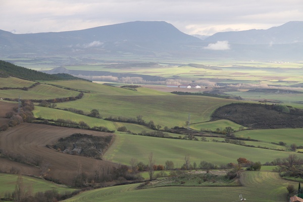 Paisaje Navarro