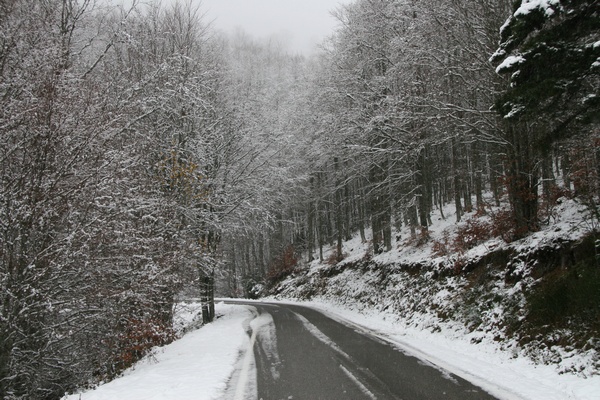 Nieve en las Alturas