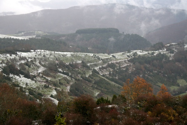 Bosques de Irati