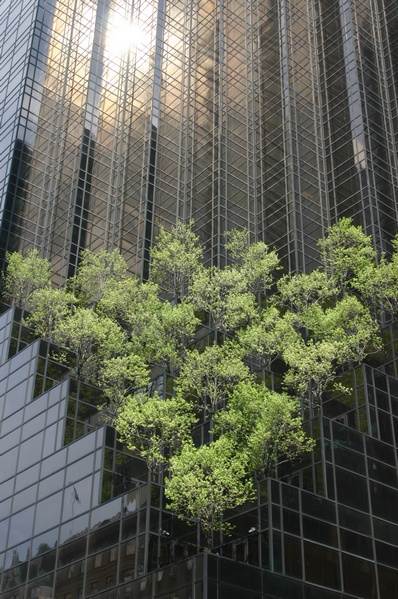 Trump tower terraces