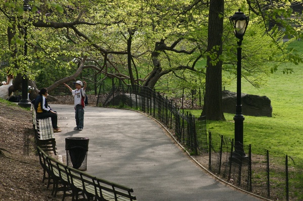 Central Park