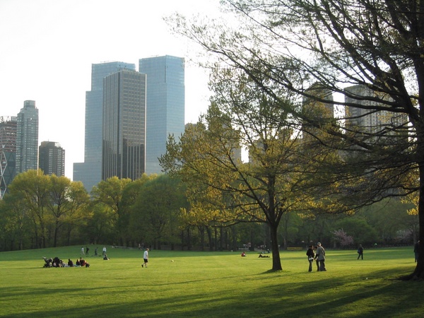 City skyline from Central Park