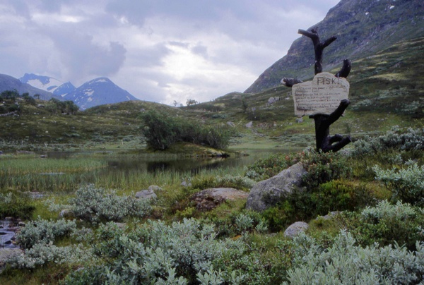 Jotunheimen