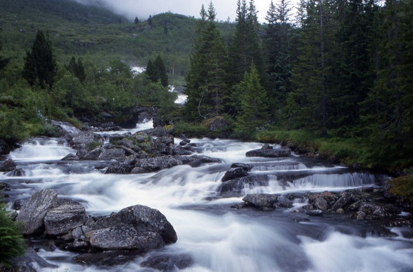 Little waterfalls