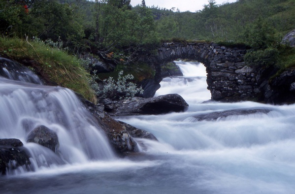 Water Scene