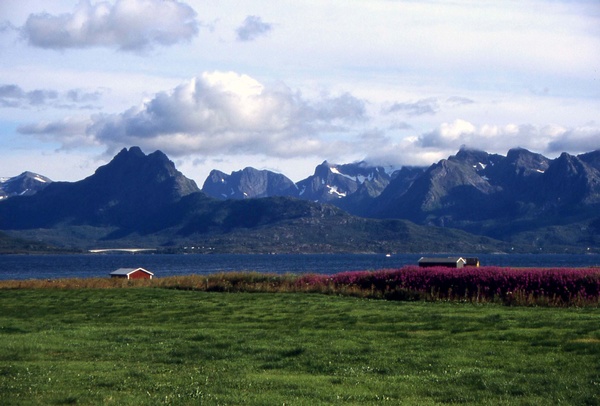 Verteralen Islands