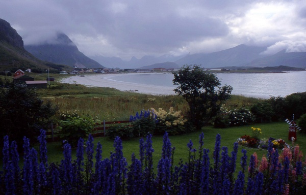 Lofoten Beach