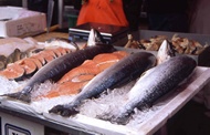 The Fish Market