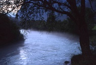 Misty River