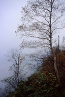 Fog at Geirangerfjord