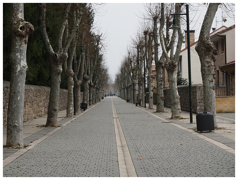 Monasterio de Santa Mara la Real