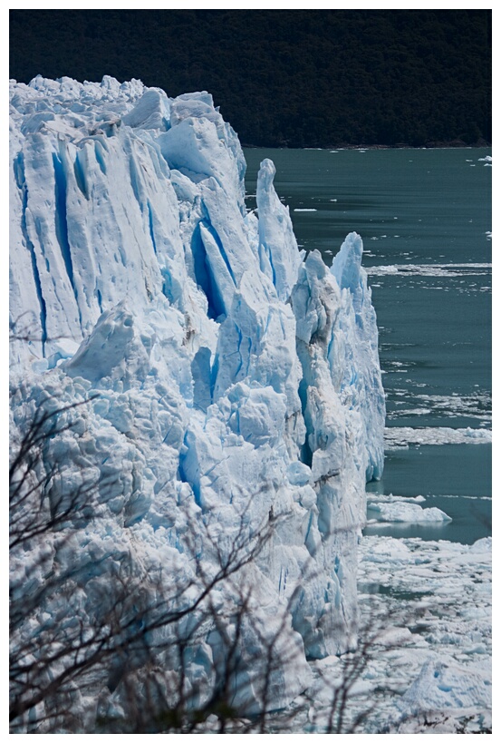 Frente del Glaciar