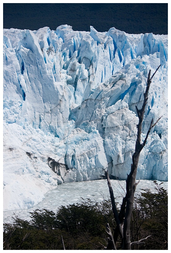 Frente del Glaciar