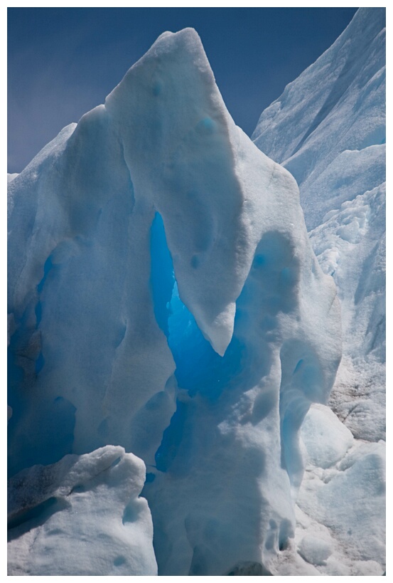 Pajaro de Hielo